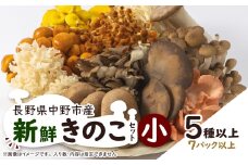 キノコでカラダを整える!新鮮きのこ詰め合わせ 小(5種類以上/7パック以上)_ きのこ 詰合せ セット 長野 信州 産地直送 人気 おすすめ 送料無料 お取り寄せ 獲れたて 食べ比べ 【1330946】