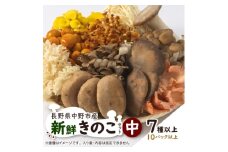 キノコでカラダを整える!新鮮きのこ詰め合わせ 中(7種類以上/10パック以上)_ きのこ キノコ セット 詰合せ 食べ比べ 長野県産 国産 えのき しめじ エリンギ 舞茸 なめこ 椎茸 産地直送 まいたけ 【1330947】