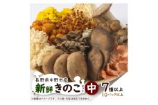キノコでカラダを整える!新鮮きのこ詰め合わせ 中(7種類以上/10パック以上)_ きのこ キノコ セット 詰合せ 食べ比べ 長野県産 国産 えのき しめじ エリンギ 舞茸 なめこ 椎茸 産地直送 まいたけ 【1330947】