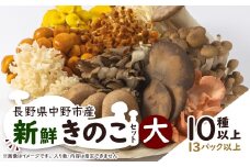 キノコでカラダを整える!新鮮おいしいきのこセット大(10種以上を13パック以上お届け!)_ きのこ キノコ セット 詰合せ 食べ比べ 長野県産 国産 えのき しめじ エリンギ 舞茸 なめこ 椎茸 産地直送 まいたけ 【1330948】
