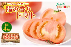 『陽の香り』トマト4kg箱満杯詰め　長野の自然が育てた恵　(個数おまかせ)【1342500】