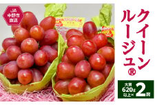 ＜2025年発送＞JA中野市産地直送!クイーンルージュ(R)大房620g以上×2房(1.2kg以上)_ブドウ 葡萄 フルーツ 果物 くだもの 人気 美味しい ふるさと 中野市 ギフト プレゼント 贈り物【1478916】