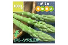 長野県中野市産 朝採れ グリーンアスパラガス M～Lサイズ 1000g【1484734】