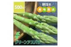 長野県中野市産 朝採れ グリーンアスパラガス M～Lサイズ 500g【1484740】