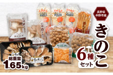 JA中野市産地直送!6種11パック入りきのこセット＜中野市特産きのこセットできのこ食を習慣に＞_ きのこ キノコ セット 詰合せ 食べ比べ 長野県産 国産 えのき しめじ エリンギ 舞茸 なめこ まいたけ 産地直送 【1487473】