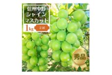 長野県中野市産ぶどう・シャインマスカット秀品 1kg箱 2房入り【1494255】