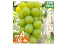 長野県中野市産ぶどう・シャインマスカット450g 9袋入り1箱【1494268】