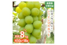 長野県中野市産ぶどう・シャインマスカット450g 18袋入り(9袋入り2箱)【1494269】