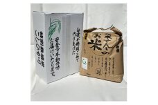 R5年産 特別栽培米　清水さんちのお米　5kg　精米【1494969】