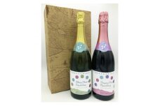 ＜たかやしろファーム＞シャインマスカット&ナガノパープルスパークリングセット 720ml×2本【1495164】