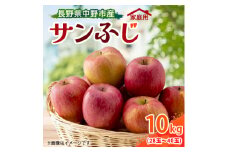 ＜訳あり＞＜先行受付＞ りんご サンふじ 10kg 家庭用 長野県産_ サンフジ 訳あり わけあり ワケアリ りんご 林檎 リンゴ フルーツ 果物 ふるーつ くだもの 国産 旬 家庭用 規格外 傷 不揃い 産地直送 信州 長野 人気 品種 送料無料 産直 【1496268】