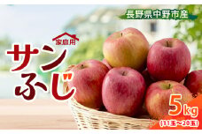 ＜訳あり＞＜先行受付＞ りんご サンふじ 5kg 家庭用 長野県産_ りんご ふじ サンふじ リンゴ 林檎 サンふじりんご 甘い 訳あり わけあり 長野県 産地直送 不揃い 傷 家庭用 自宅用 5kg 秋 冬 くだもの 果物 果実 フルーツ 送料無料 【1496543】