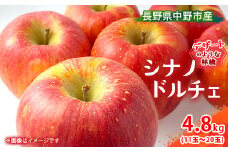 ＜先行受付＞ シナノドルチェ 4.8kg  長野県産_ りんご 林檎 リンゴ シナノドルチェ フルーツ 果物 ふるーつ くだもの 国産 旬 ギフト 贈答 産地直送 信州 長野 人気 品種 送料無料 産直 【1496559】