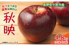 ＜先行受付＞ りんご 秋映 4.8kg  長野県産_ りんご 林檎 リンゴ 秋映 あきばえ フルーツ 果物 ふるーつ くだもの 国産 旬 ギフト 贈答 産地直送 信州 長野 人気 品種 送料無料 産直 【1496555】