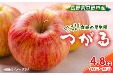 ＜先行受付＞ りんご つがる 4.8kg  長野県産【1496553】