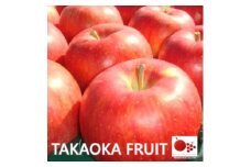 「産地より信州中野の旬をお届け」 シナノスイート　贈答用　大玉5～6玉入り　【1306524】