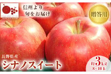 「産地より信州中野の旬をお届け」 シナノスイート　贈答用　約3kg【1306543】