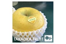 「産地より信州中野の旬をお届け」 シナノゴールド　贈答用　約3kg【1306660】