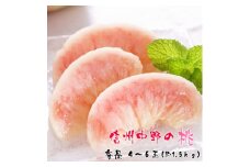 厳選!信州中野の桃　秀品　4～6玉(約1.5kg入)_ 桃 もも モモ フルーツ 果物 くだもの ピーチ 長野県 中野市 人気 美味しい ふるさと 【1235265】