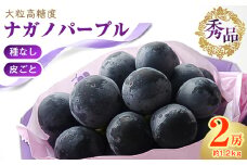 厳選!濃厚大房ナガノパープル　秀品　2房(約1.2kg)_ ぶどう ブドウ 葡萄 フルーツ 果物 くだもの ふるさと 人気 美味しい ギフト プレゼント 贈り物 長野県 中野市 【1234911】