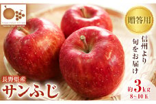 ＜2025発送分＞=信州中野の旬をお届け= サンふじ　贈答用　3kg(8～10玉)＜高丘フルーツ＞【1297193】