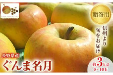 「産地より信州中野の旬をお届け」 長野県産ぐんま名月　贈答用　約3kg_ りんご 林檎 リンゴ 名月 ぐんま名月 フルーツ 果物 ふるーつ くだもの 国産 旬 ギフト 贈答 産地直送 信州 長野 人気 品種 送料無料 産直 【1305054】