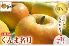 「産地より信州中野の旬をお届け」 長野県産ぐんま名月　贈答用　約5kg_ りんご 林檎 リンゴ 名月 ぐんま名月 フルーツ 果物 ふるーつ くだもの 国産 旬 ギフト 贈答 産地直送 信州 長野 人気 品種 送料無料 産直 【1305055】
