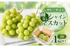 ＜2025年発送＞長野県 中野市産 シャインマスカット2房(1.0kg以上)_ マスカット ぶどう ブドウ 葡萄 フルーツ 果物 くだもの 人気 美味しい ふるさと 長野県 中野市 ギフト プレゼント 贈り物 ＜配送不可地域：離島・北海道・沖縄県＞【1331082】