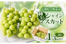 ＜2025年発送＞長野県 中野市産 シャインマスカット2房(1.3kg以上)【1331115】