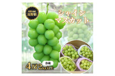 長野県中野市産　冬でも食べれる　シャインマスカット4房(2.0kg以上)_ マスカット ぶどう ブドウ 葡萄 フルーツ 果物 くだもの 人気 美味しい ふるさと 中野市 ギフト プレゼント 贈り物 ＜配送不可地域：離島＞【1331158】