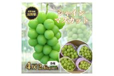 長野県中野市産　冬でも食べれる　シャインマスカット4房(2.6kg以上)_ マスカット ぶどう ブドウ 葡萄 フルーツ 果物 くだもの 人気 美味しい ふるさと 中野市 ギフト プレゼント 贈り物 ＜配送不可地域：離島＞【1331183】