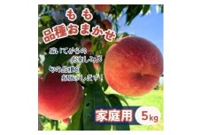 もも 家庭用 5kg 品種おまかせ【1495939】