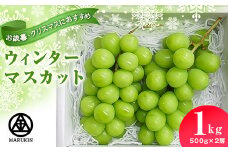 ウィンターマスカット　合計1kg(500g×2房)_ ぶどう ブドウ 葡萄 マスカット シャインマスカット 果物 くだもの フルーツ 国産 長野県 産地直送 送料無料 お取り寄せ 人気 おすすめ 贈答 ギフト 1kg 500g 2房 【1496442】