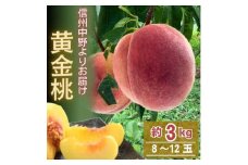 黄金桃 約3kg(8～12玉)【1495414】
