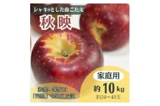 りんご 秋映 約10kg 家庭用(24～40玉)【1495960】