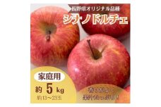 りんご シナノドルチェ 約5kg 家庭用(13玉～23玉)【1495967】