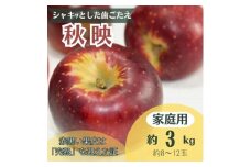 りんご 秋映 約3kg 家庭用(8玉～12玉)【1495968】