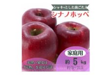 りんご シナノホッペ 約5kg 家庭用 (13玉～23玉)【1495969】