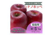りんご シナノホッペ 約5kg 家庭用 (13玉～23玉)【1495969】