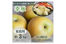 梨　幸水 約3kg 家庭用(8～12玉)【1495970】