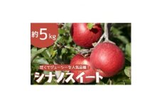 りんご シナノスイート 約5kg【1504882】