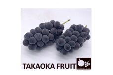 「産地より信州中野の旬をお届け」 種なし巨峰　贈答用　約1kg　【1311063】