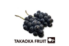 「産地より信州中野の旬をお届け」 ナガノパープル　PREMIUM　約1.2kg　【1311111】