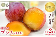 「産地より信州中野の旬をお届け♪」 高丘フルーツの長野県産「プラム(すもも)」贈答用　約2Kg【1407614】