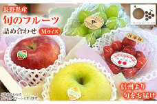 「産地より信州中野の旬をお届け」 高丘フルーツの長野県産「旬のフルーツ詰め合わせ」(Mサイズ)【1408637】