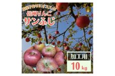 信州りんご 加工用 10kg サンふじ_ りんご ふじ サンふじ リンゴ 林檎 加工用 調理用 ジャム ジュース コンポート アップルパイ 訳あり 信州 長野県 産地直送 不揃い 傷 家庭用 自宅用 10kg 秋 冬 くだもの 果物 果実 フルーツ 送料無料 【1508406】