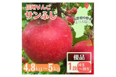 信州りんご サンふじ(1段)4.8kg～5kg 優品＜11月中旬より順次発送＞【1508409】