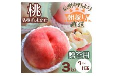 ＜旬にあわせたおいしい桃をお届け!＞贈答用　桃  3kg(品種おまかせ 9～11玉)【1508589】