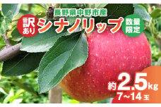 ＜2025年発送＞＜数量限定!＞シナノリップ 訳あり 約2.5kg(7-14玉) 中野市産【1413211】