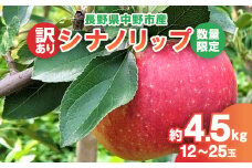 ＜2025年発送＞＜数量限定!＞シナノリップ 訳あり 約4.5kg(12-25玉) 中野市産【1413217】